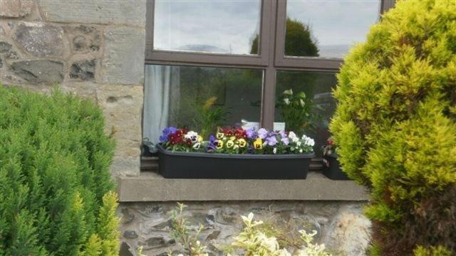 Scooniehill Farm House B&B St Andrews Zewnętrze zdjęcie